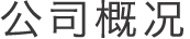 公司概况