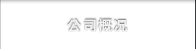 公司概况