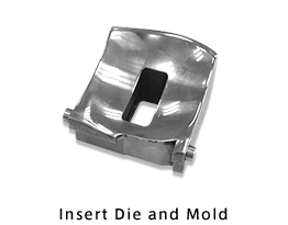 Insert Die and Mold
