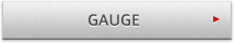 GAUGE