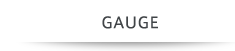 GAUGE